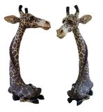 Два жирафа